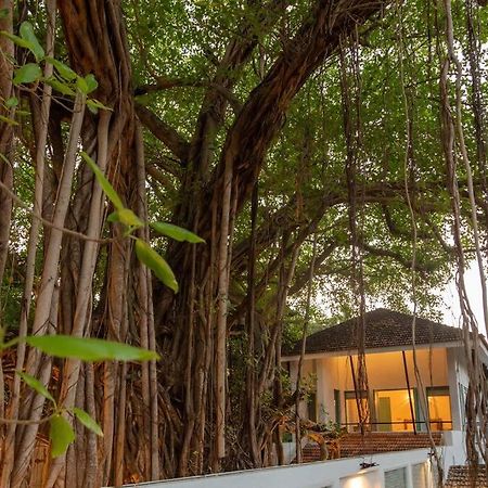 White Banyan Beach Villa, Candolim By The Acacia Villas Zewnętrze zdjęcie