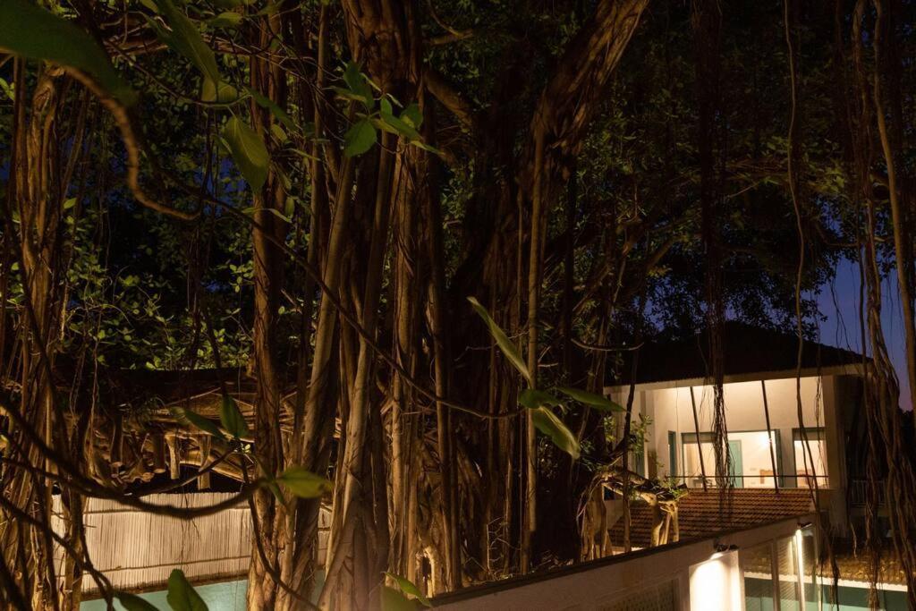 White Banyan Beach Villa, Candolim By The Acacia Villas Zewnętrze zdjęcie