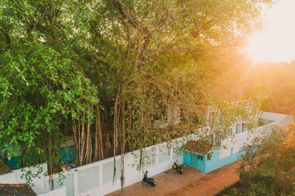 White Banyan Beach Villa, Candolim By The Acacia Villas Zewnętrze zdjęcie
